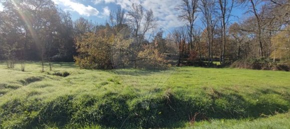 2 غرف نوم منزل في Santana da Azinha, Portugal رقم 176801 20