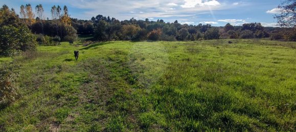 2 غرف نوم منزل في Santana da Azinha, Portugal رقم 176801 10