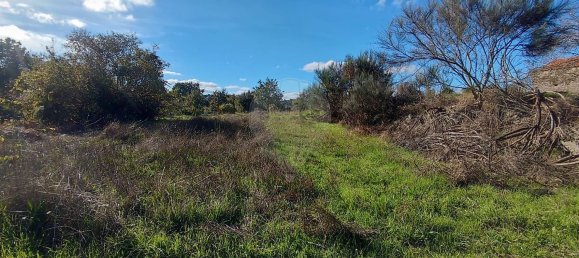 2 غرف نوم منزل في Santana da Azinha, Portugal رقم 176801 11