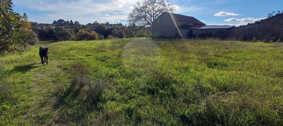 2 غرف نوم منزل في Santana da Azinha, Portugal رقم 176801 4