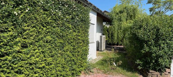 Бунгало с 2 спальнями в Альцай-Вормс, Германия № 319986 2