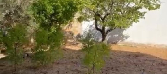 Grundstück in Salve, Italy 520m², Nr. 156779 6