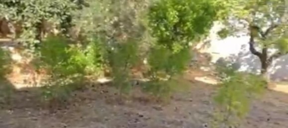 Grundstück in Salve, Italy 520m², Nr. 156779 8