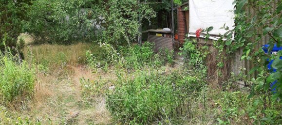 Terrain à Dahme-Spreewald, Germany No. 226457 2