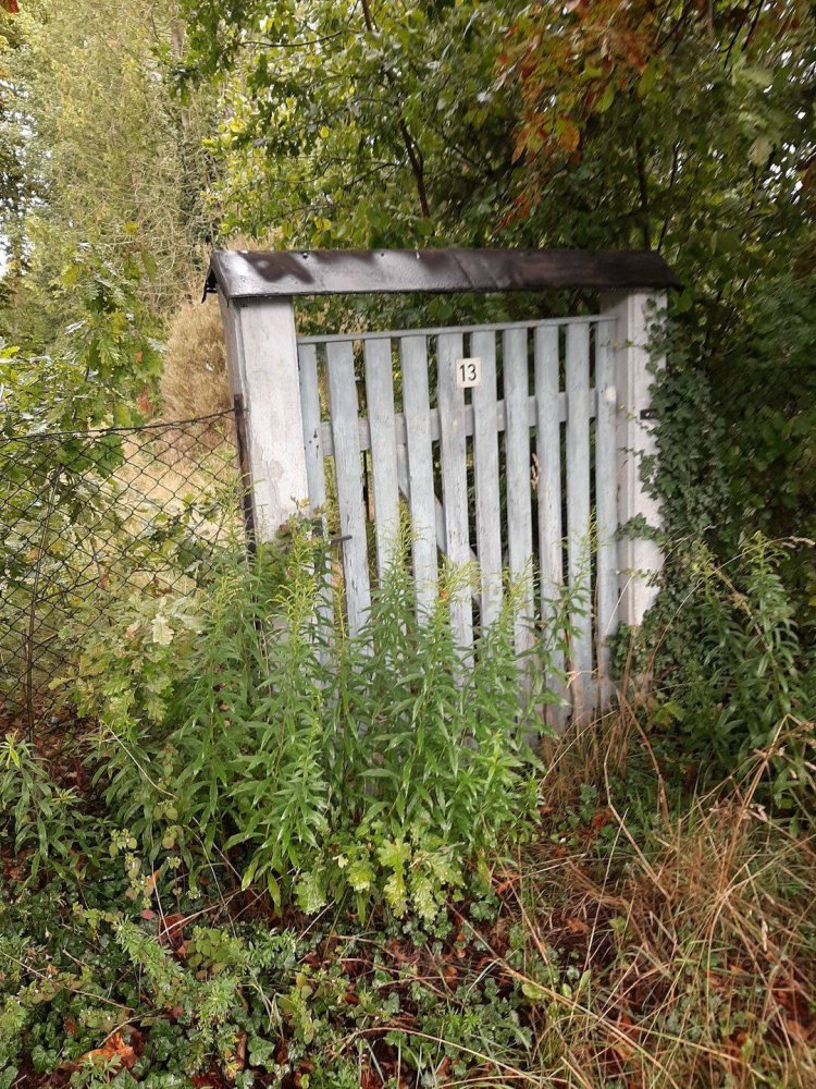 Terrain à Dahme-Spreewald, Germany No. 226457