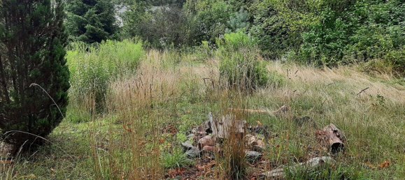 Terrain à Dahme-Spreewald, Germany No. 226457 3