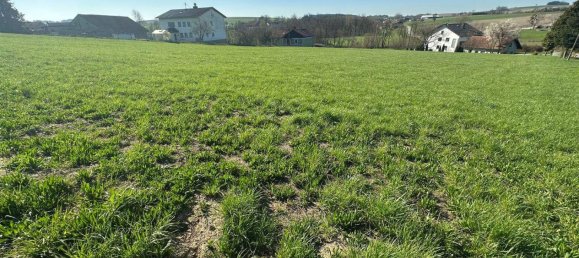 Terreno em Andrichsfurt, Austria N.º 164733 2