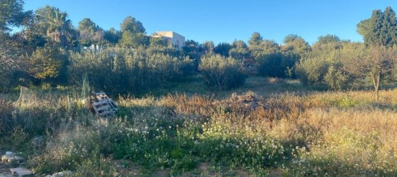 4 bedrooms House in Valencia, Spain No. 171760 50