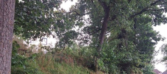  قطعة أرض في Walding, Austria رقم 215182 5