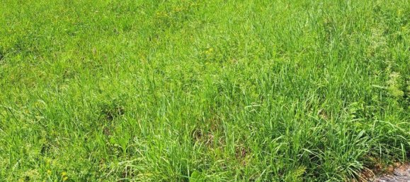  قطعة أرض في Walding, Austria رقم 215182 8