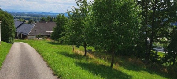  قطعة أرض في Walding, Austria رقم 215182 7