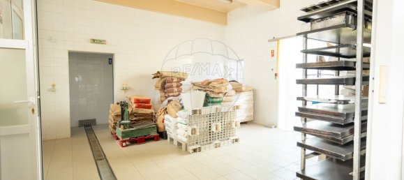 551m² Commercial property in Coruche, Portugal No. 62098 6