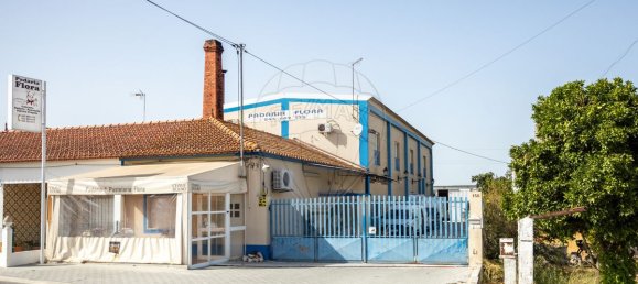 551m² Commercial property in Coruche, Portugal No. 62098 38