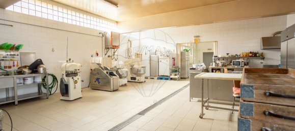 551m² Commercial property in Coruche, Portugal No. 62098 3