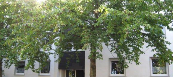 Apartamento de 1 dormitorio en Essen, Germany No. 6578 2