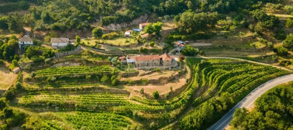 8 bedrooms House in Marco de Canaveses, Portugal No. 221409 12