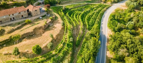 8 bedrooms House in Marco de Canaveses, Portugal No. 221409 4