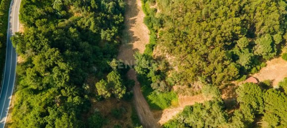 8 bedrooms House in Marco de Canaveses, Portugal No. 221409 9