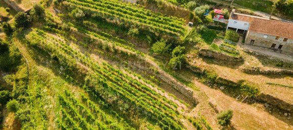 8 bedrooms House in Marco de Canaveses, Portugal No. 221409 6