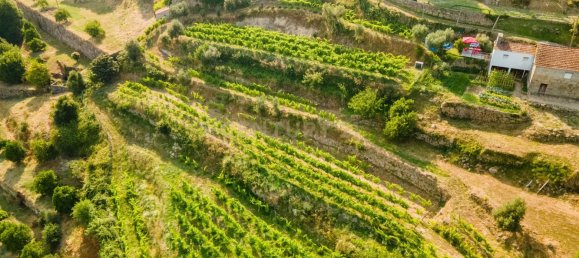 8 bedrooms House in Marco de Canaveses, Portugal No. 221409 7