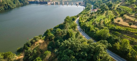 8 bedrooms House in Marco de Canaveses, Portugal No. 221409 16