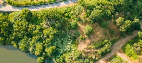 8 bedrooms House in Marco de Canaveses, Portugal No. 221409 8