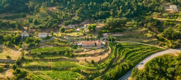 8 bedrooms House in Marco de Canaveses, Portugal No. 221409 2