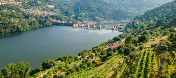 8 bedrooms House in Marco de Canaveses, Portugal No. 221409 5