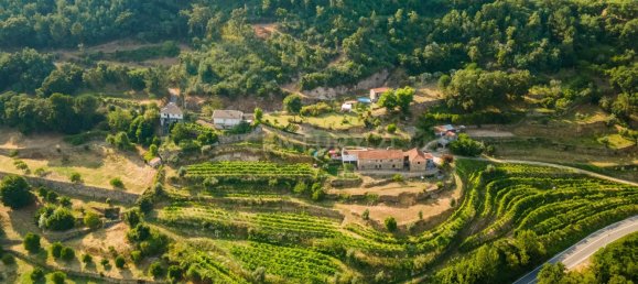 8 bedrooms House in Marco de Canaveses, Portugal No. 221409 3