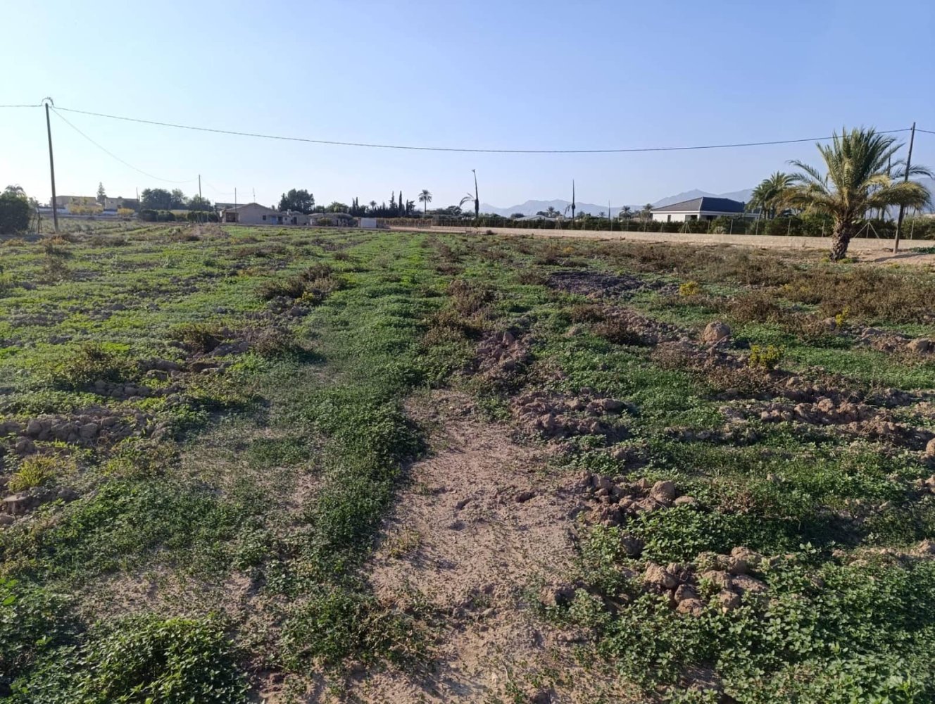 20m² Land in Alicante, Spain No. 206562