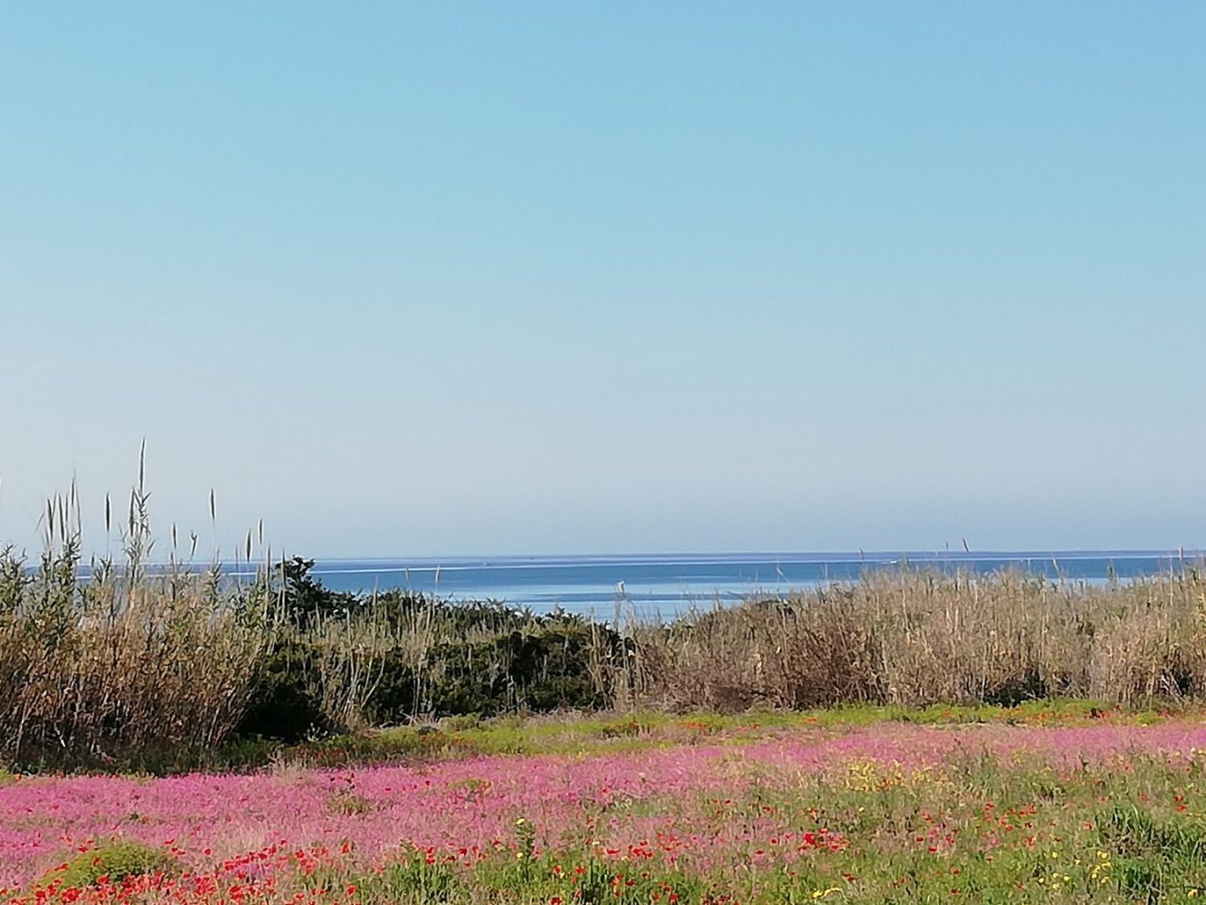 Вилла с 6 комнатами в Аветрана, Италия № 27940