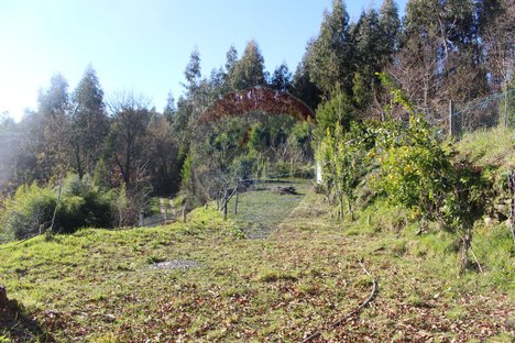 Terrain à Estoraos, Portugal 22000m² No. 33211