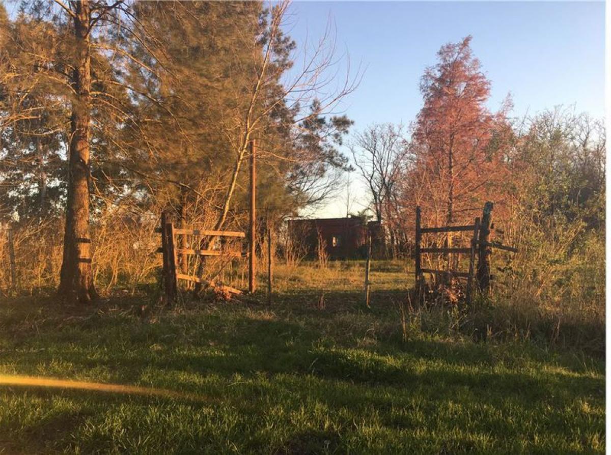 Studio à Exaltacion de la Cruz, Argentina No. 9009