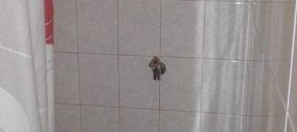 Studio à Margareten, Austria No. 167837 21