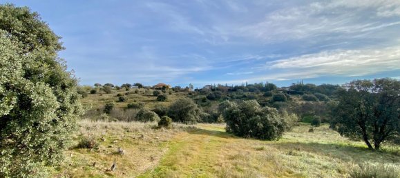 Grundstück in Valdemorillo, Spain, Nr. 118435 6