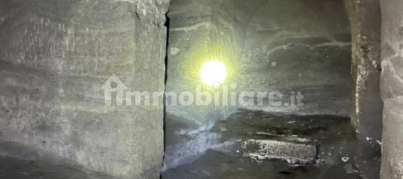 1-Zimmer Gewerbliche Immobilie in Castel Gandolfo, Italy, Nr. 13416 6