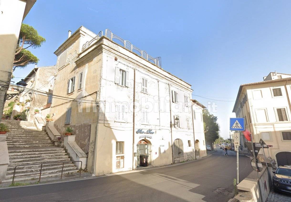 1-Zimmer Gewerbliche Immobilie in Castel Gandolfo, Italy, Nr. 13416