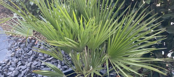 Apartamento T2 em Rheingau-Taunus, Germany N.º 184337 24