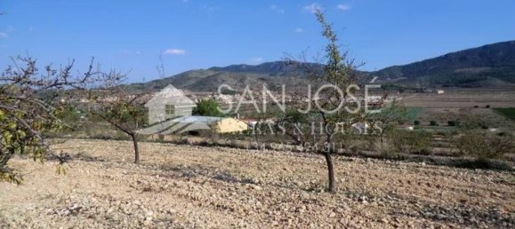  قطعة أرض في Hondon De Las Nieves, Spain 12000متر مربع رقم 21301 2