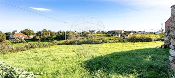 3 Schlafzimmer Haus in Penacova, Portugal, Nr. 166482 40