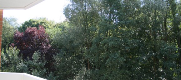 Estudio en Wandsbek, Germany No. 37684 11