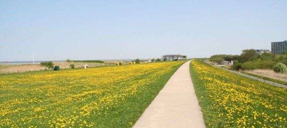 Apartamento de 1 dormitorio en Cuxhaven, Germany No. 53626 18