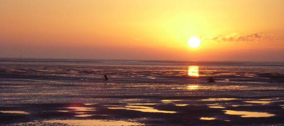 Apartamento de 1 dormitorio en Cuxhaven, Germany No. 53626 16