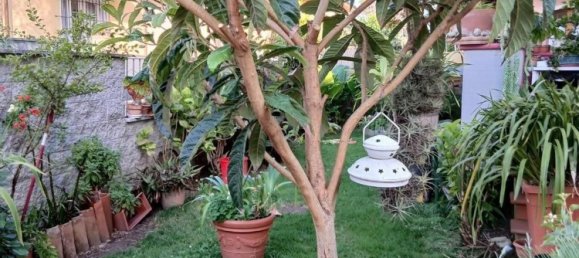 5 bedrooms Villa in Massa, Italy No. 336519 3