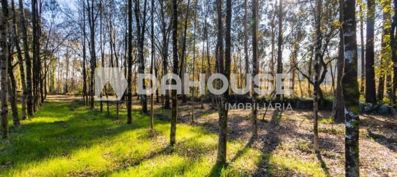 Grundstück in Vila Verde, Portugal 2000m², Nr. 61032 5