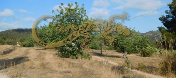 4 chambres Villa à Sant Joan de Labritja, Spain No. 904 2