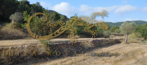 4 chambres Villa à Sant Joan de Labritja, Spain No. 904 13