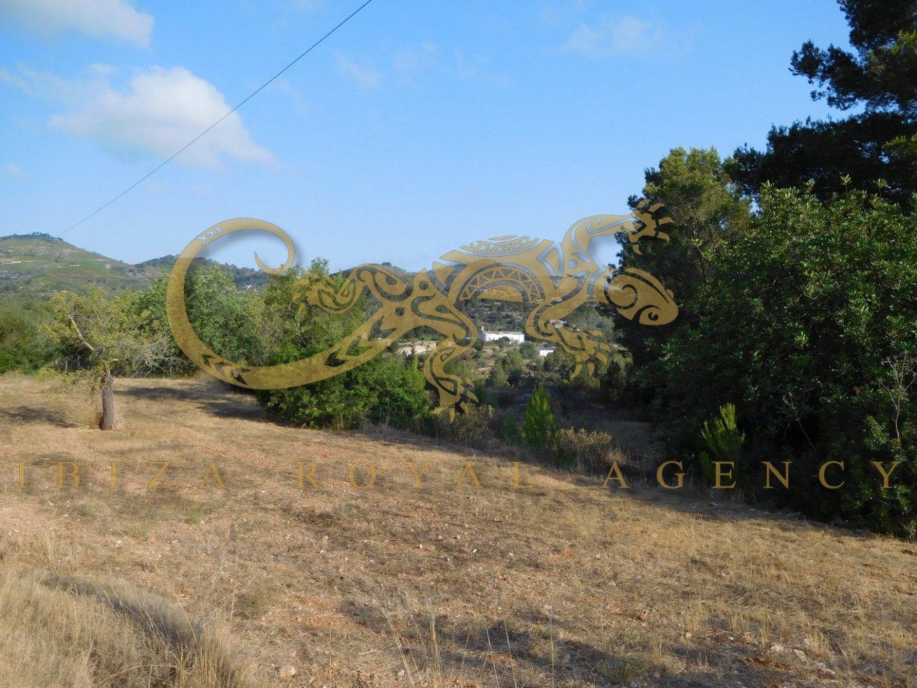 4 chambres Villa à Sant Joan de Labritja, Spain No. 904