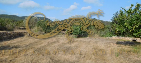 4 chambres Villa à Sant Joan de Labritja, Spain No. 904 12