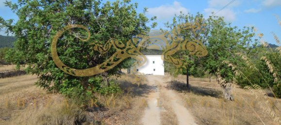 4 chambres Villa à Sant Joan de Labritja, Spain No. 904 3